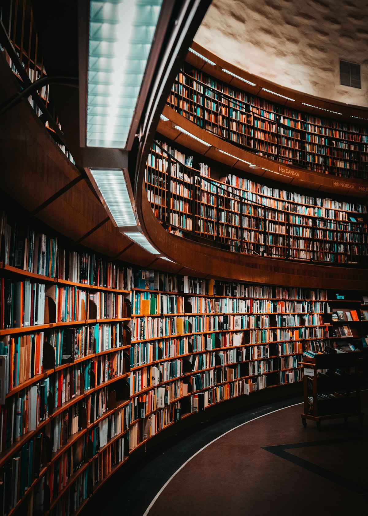 Curved library shelves of carefully organized volumes